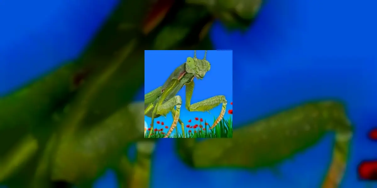 Insectos & Arañas Juego AR/VR